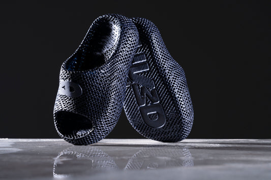 Slide on Mojani Dusk